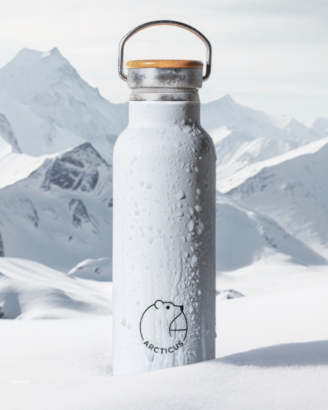 The Arctic Box