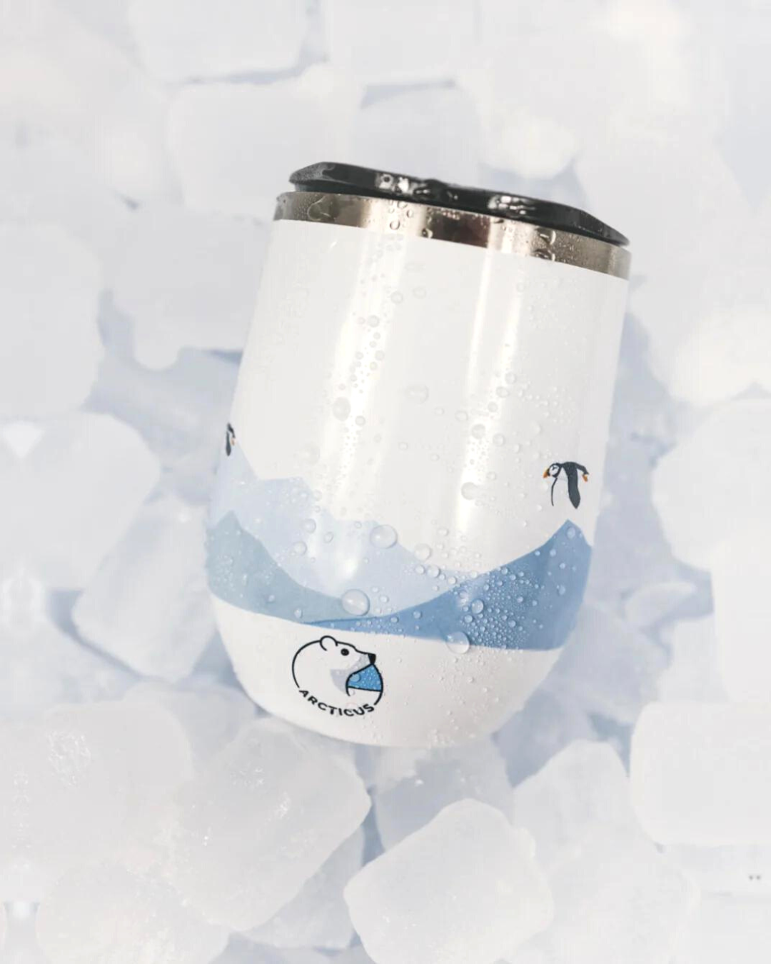 The Arctic Box